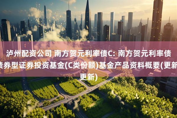 泸州配资公司 南方贺元利率债C: 南方贺元利率债债券型证券投资基金(C类份额)基金产品资料概要(更新)