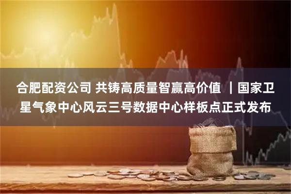 合肥配资公司 共铸高质量智赢高价值 ｜国家卫星气象中心风云三号数据中心样板点正式发布