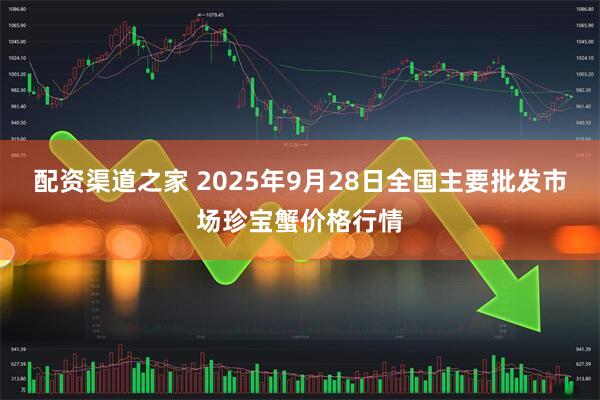 配资渠道之家 2025年9月28日全国主要批发市场珍宝蟹价格行情